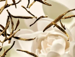 Rituals Protezione Solare|Protezione Solare|After Sun Gel Lotion