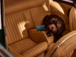 Rituals Fragranze Per Auto|Uomo|Car Air Freshener
