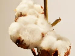 Rituals Spray Per L'Ambiente|Cotton Blossom Home Perfume