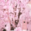 Rituals Cura Del Corpo|Dry Body Oil