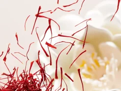 Rituals Skincare Per Lei|Face Mask