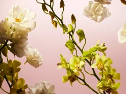 Rituals Profumo|Fleurs de l'Himalaya