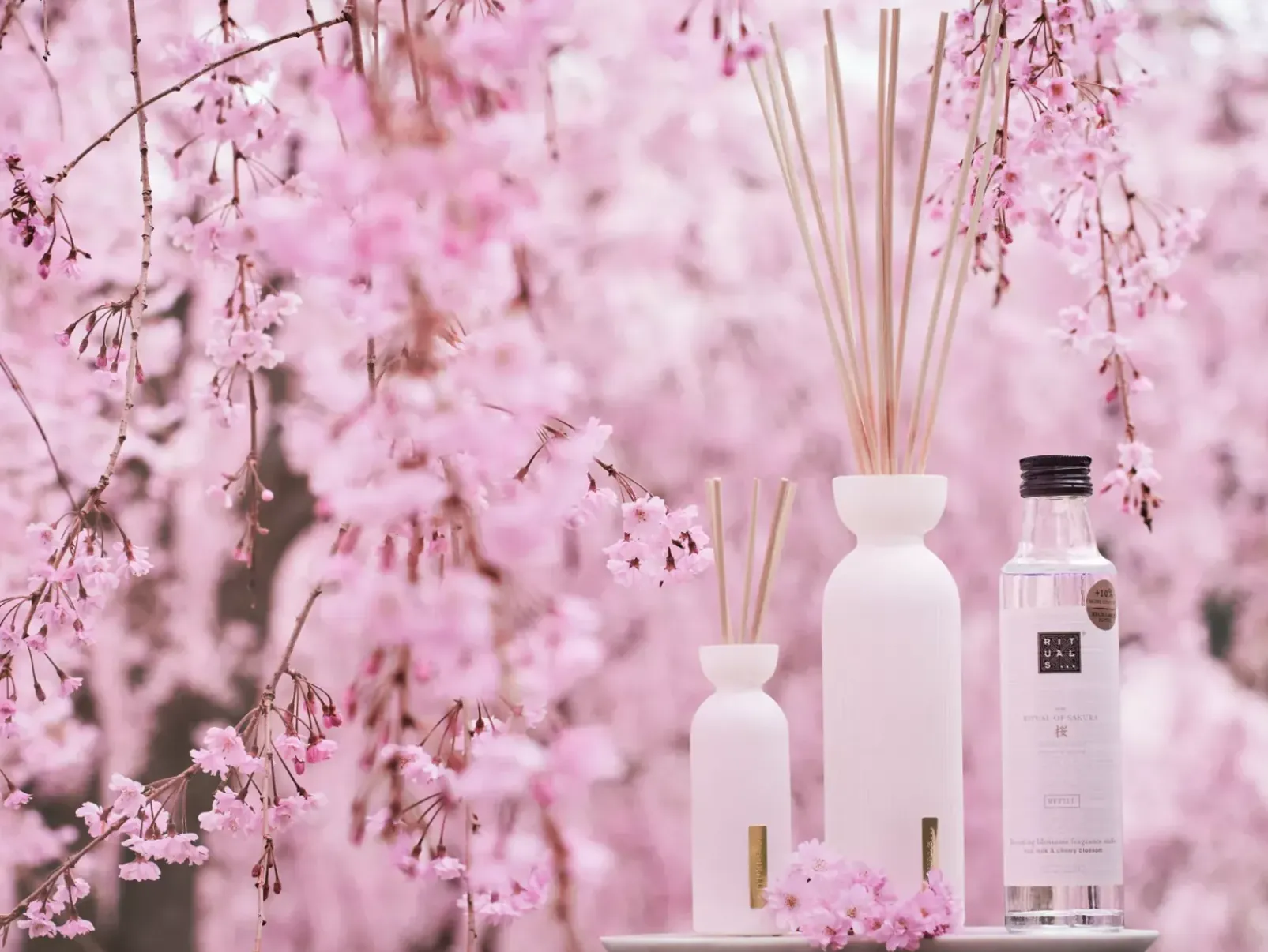 Rituals Bastoncini Profumati|Fragrance Sticks