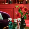 Rituals Spray Per L'Ambiente|Home Perfume