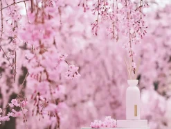 Rituals Bastoncini Profumati|Mini Fragrance Sticks