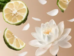 Rituals Profumo|Soleil d'Or