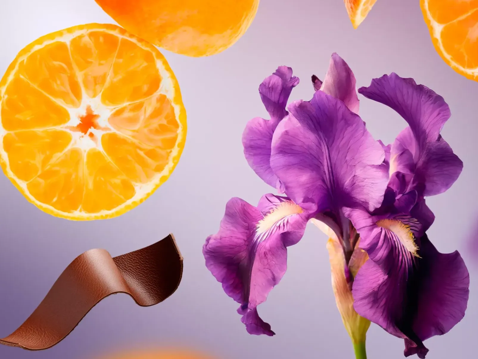 Rituals Profumo|Cura Del Corpo|Travel - Bois Royal
